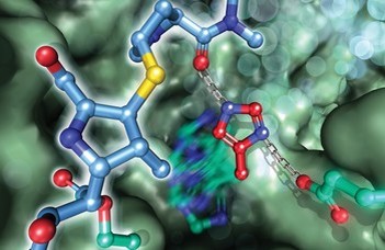 The frozen secret of proteins