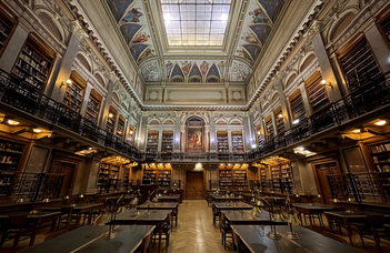Night at the library