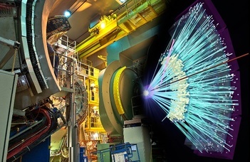 Particles swim like sharks in the perfect liquid
