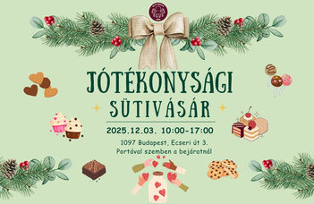 In honor of the International Day of Persons with Disabilities, a Charity Cookie Fair by BGGyK HÖK.