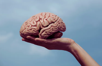 The predictive brain – new discovery about the background of social behaviour
