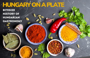 Hungary on a Plate: Bite-size History of Hungarian Gastronomy