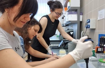 Cancer treatment method developed by ELTE students wins a gold medal