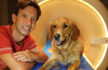 ELTE researcher wins the most prestigious grant in Europe