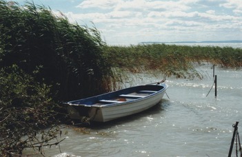 Non-biting midges help us understand how to protect Lake Balaton