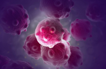 A novel strategy was found to cure the most lethal types of cancer