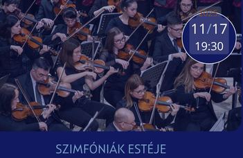 A real uniqueness in an orchestra concert...