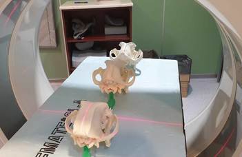 Digital dog and cat skull database