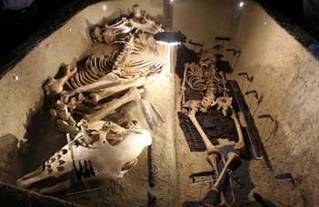 1,400 years old mystery of origins of Avars elucidated with ancient DNA