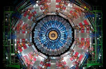 Direct coupling of the Higgs boson to the bottom quark observed