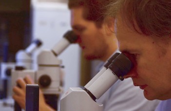 Our genes also tell about our age