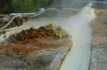 A termálvizek biofilmvizsgálatai segíthetik az ősi ökoszisztémák megértését