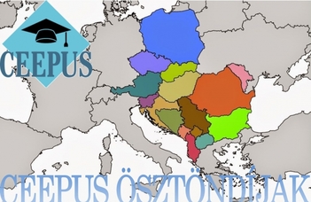 Irány Közép-Európa!